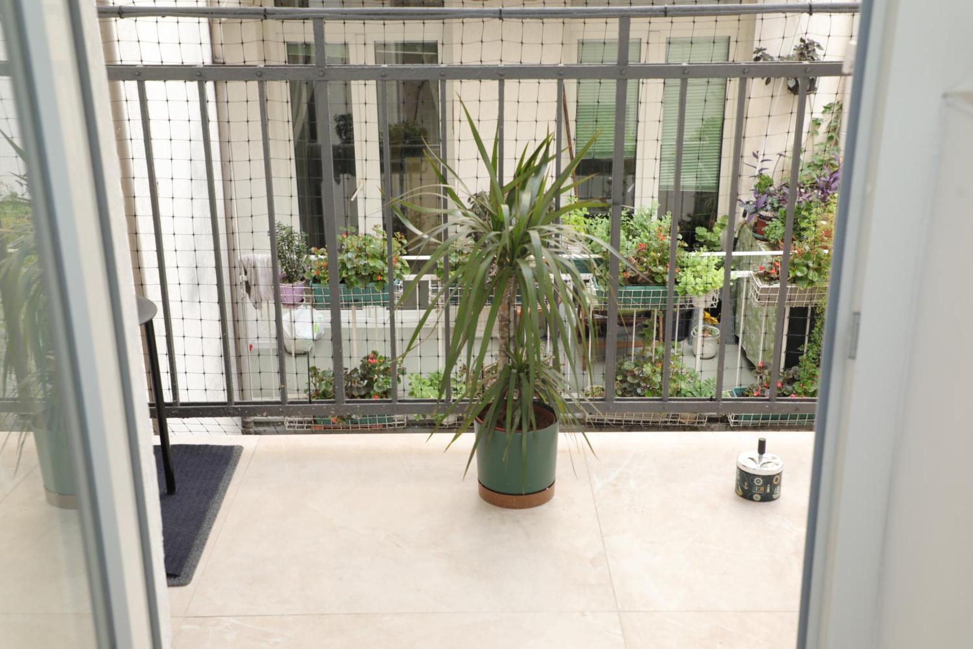 Maison Danube 贝尔格莱德 外观 照片